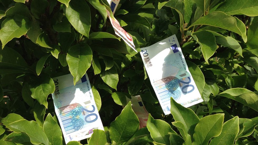 leftodendra